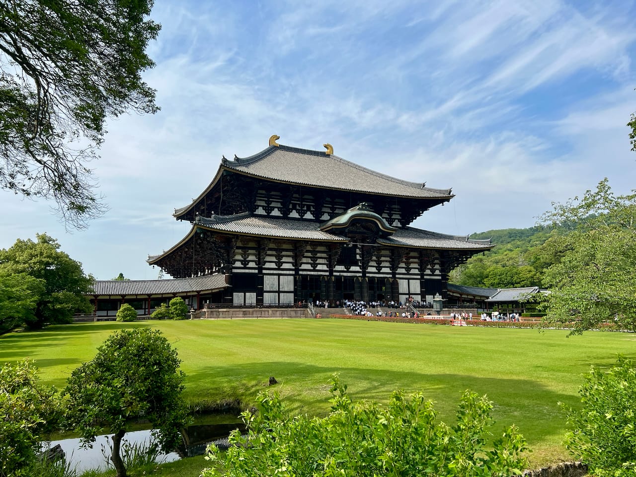 Tamme herten in het park van Nara bij Todai-ji