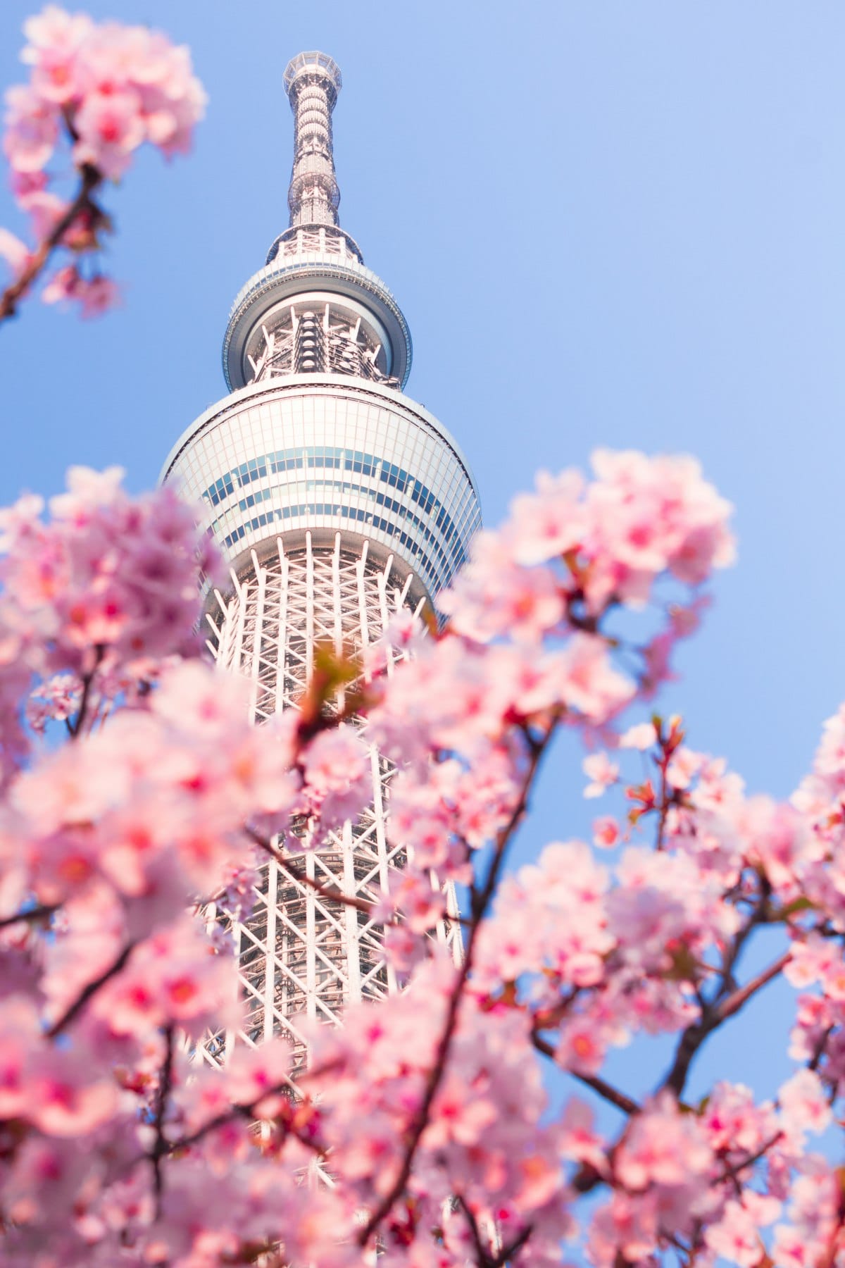 Tokyo Skytree uitzicht vanaf 634 meter